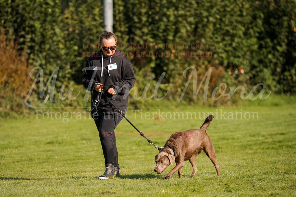 20250928_Hunderennen-8 | MuT (Mensch und Tier) mit Mona - Fotografie und Tierkommunikation - Realisiert mit Pictrs.com