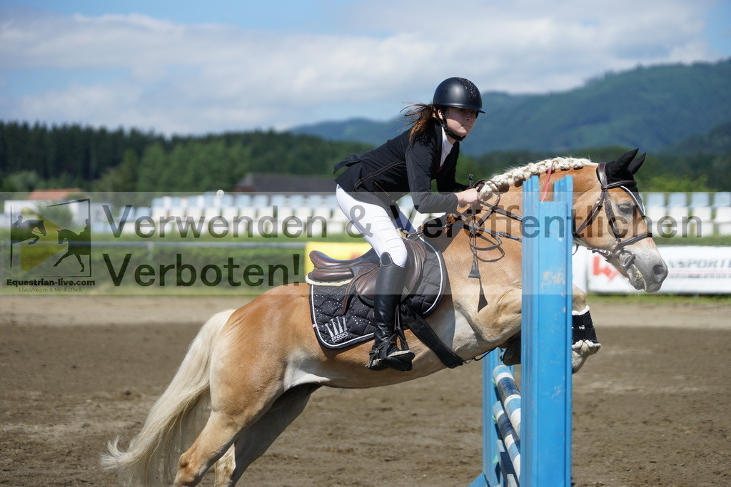 DSC05954 | equestrian-live-com