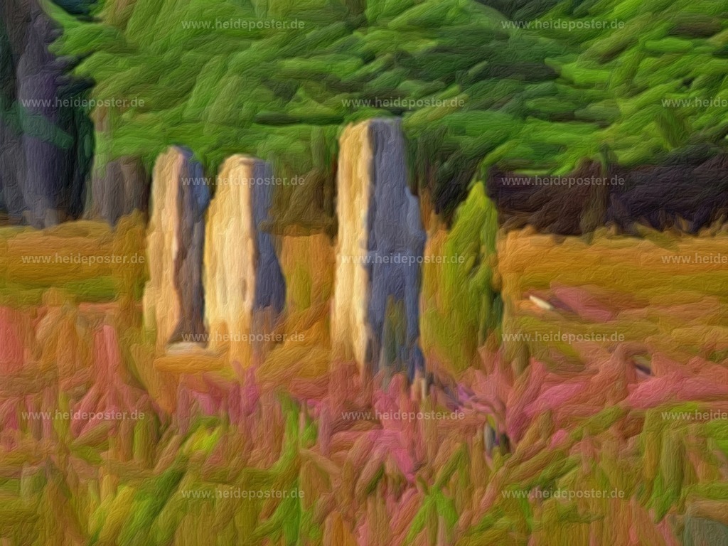 brushed_10-201208_heide_DSCF3200-b | Poster aus der Lüneburger Heide - Realisiert mit Pictrs.com