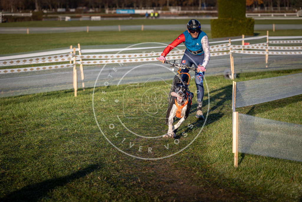CaniXpix_0L8A3100 | Hundefotografie, Tierfotograf, Pfotenfotografie, Fotoshooting Hund, Hunde Portrait, Hundesport, Hundeportraits, Heideshooting, Hunde, Sportfotograf, Hundefotograf, Turnierhundsport, THS,  - Realisiert mit Pictrs.com