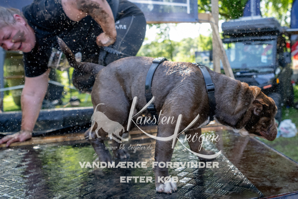 1516_ZZ90703 | kk-dogfotos