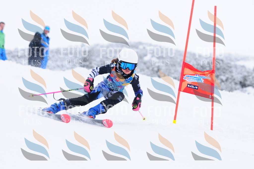 C2687 | holidayphoto