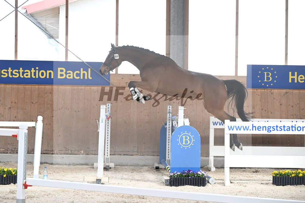 Kat-Nr. 44 Vera Nikotina v. Vingino_Kreutzpointner_5250550 | hf-fotografie - Realisiert mit Pictrs.com