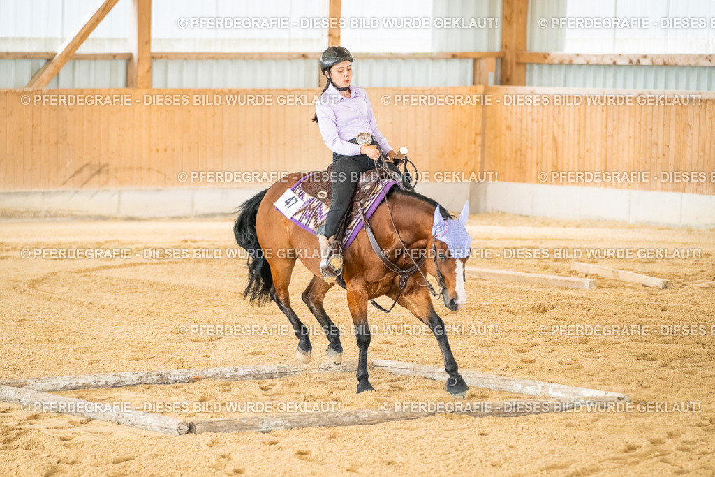 DSC07140 | Pferdegrafie