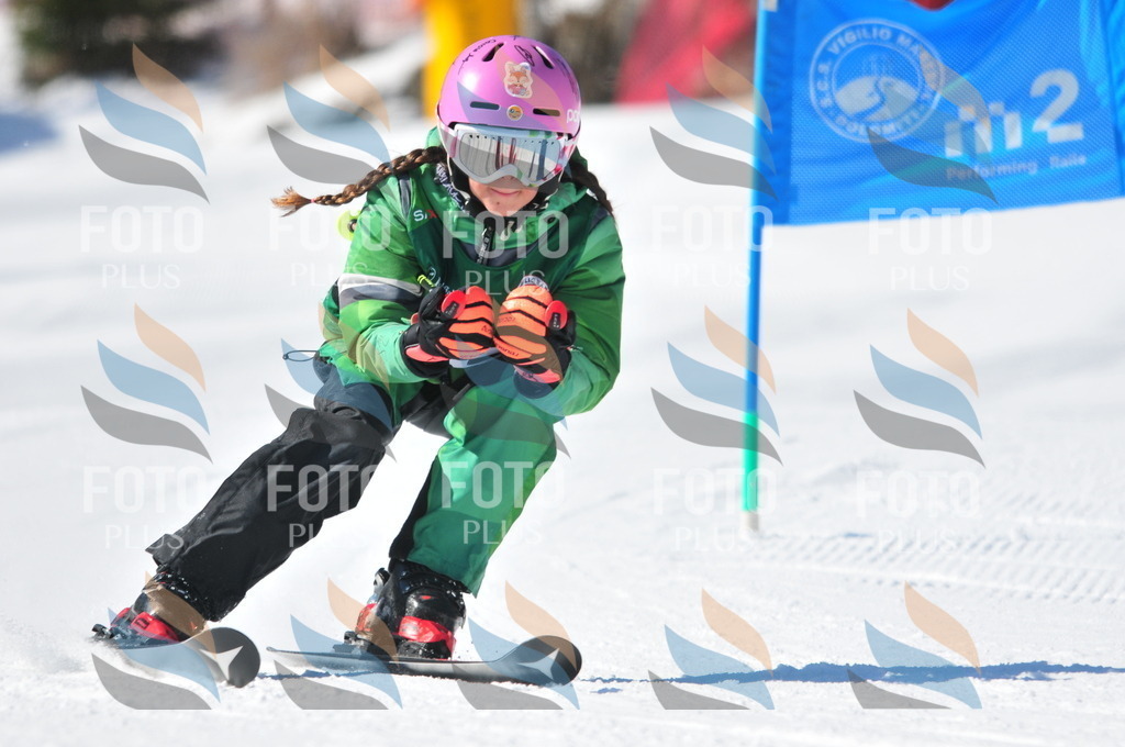 C3248 | holidayphoto