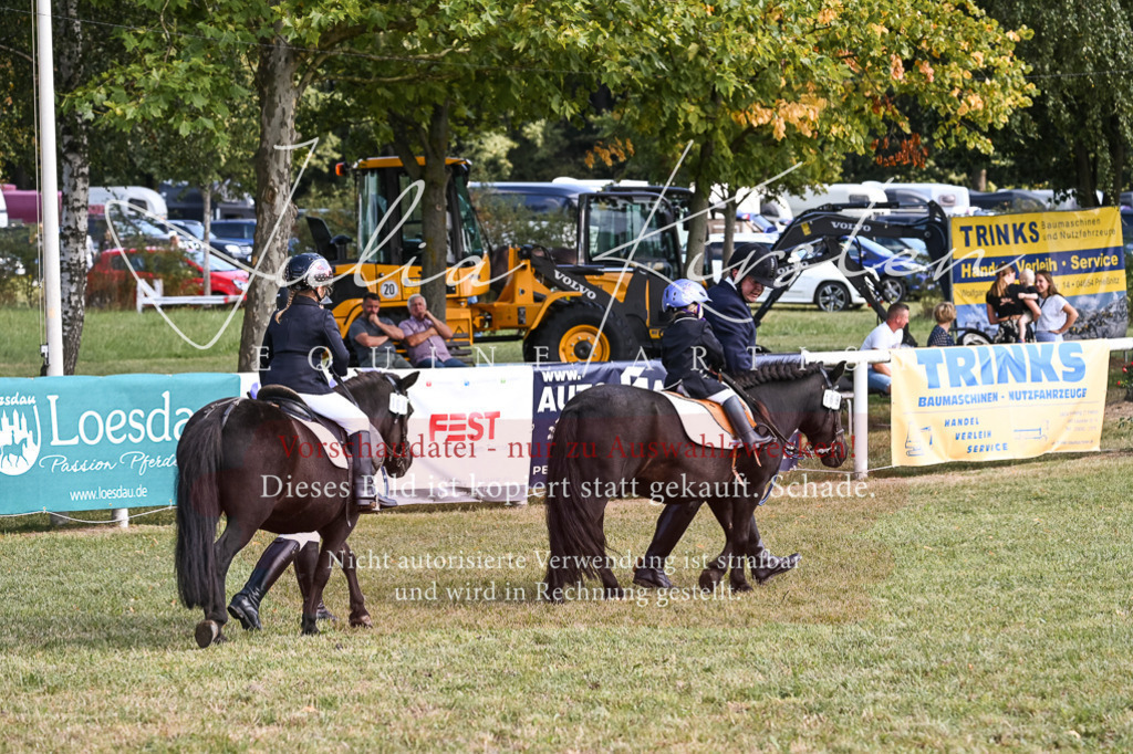 DSC_6841 | Pferde- und Turnierfotografie in Westsachsen. Pferdeportraits, Auftragszeichnungen und intuitive Kunst.