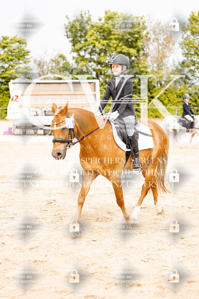 CK904499 | Turnierfotografie Pferdefotografie Trier Rheinland-Pfalz Pferdesport Reitsport Tierfotografie Sportfotografie Pferdevideo Pferdevideografie Equestrianvideography equestrianphotography  - Realisiert mit Pictrs.com
