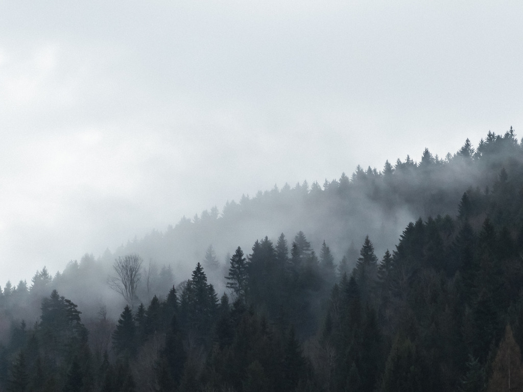 PSX_20230227_225306 | mtkfoto_ - Realisiert mit Pictrs.com