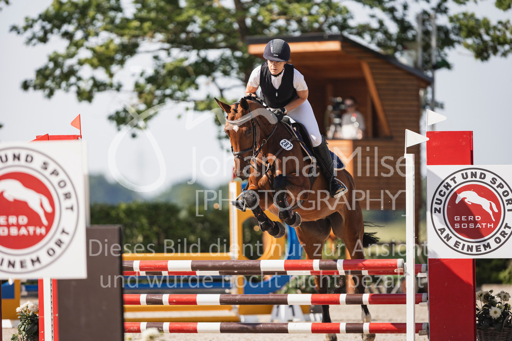 250622_Lemwerder_A-Stil-504 | Deine schönsten Turniermomente als professionelle Fotos! Entdecke hochwertige Pferdesport-Fotografie im Online-Shop. Jetzt Fotos finden & bestellen!