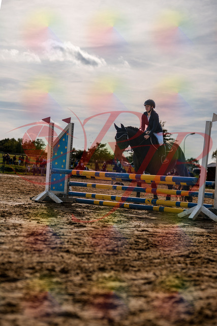 2026_10_03_Siefer-Hof_160104_Z63_11462512 | Professionelle Reitsport-, Turnier- und Eventfotografie von Robert Broda. Galerien mit ausgewählten und bearbeiteten Bildern direkt online ansehen und bestellen.
