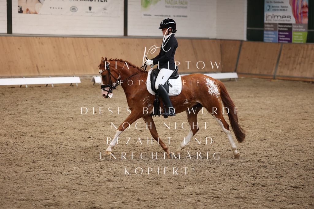 IMGM8071 | pl-fotografie