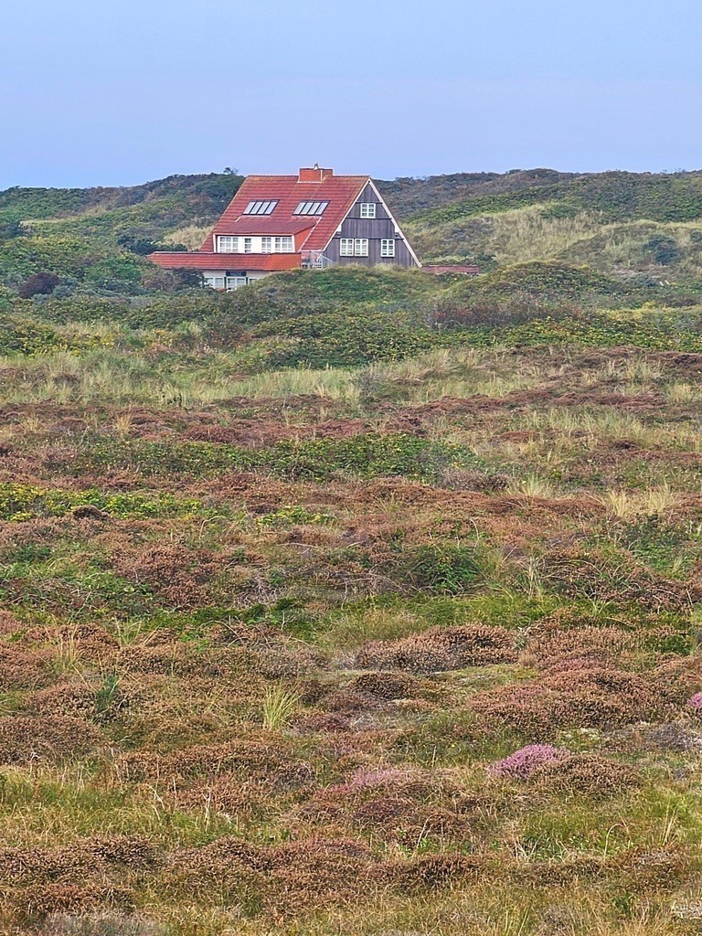 Nordseeinsel Insel Momente ostfrisisische Inseln | Nordseeinsel Insel Momente ostfrisisische Inseln Wangerooge Norderney Langeoog Helgoland Baltrum Juis Borkum Minsener Oog Spiekeroog Nordseebilder Nordseefotos - Realisiert mit Pictrs.com
