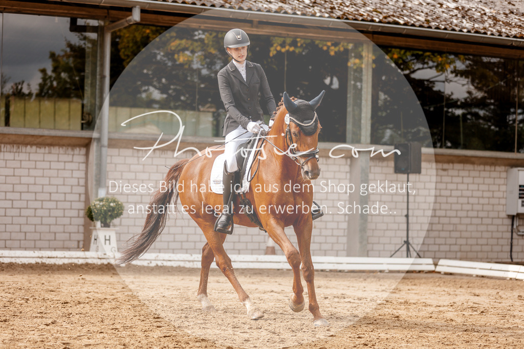 3I6A7386 | Stimmungsvolle Portraits und Reitsportfotografie im Ruhrgebiet und im Münsterland.

Pferdefotografie, Hundefotografie, Tierfotografie, Reportagen, Portraits von Tier und Mensch, Turnierfotografie in Bochum, Recklinghausen, Marl, Haltern am See, Dülmen.. - Realisiert mit Pictrs.com