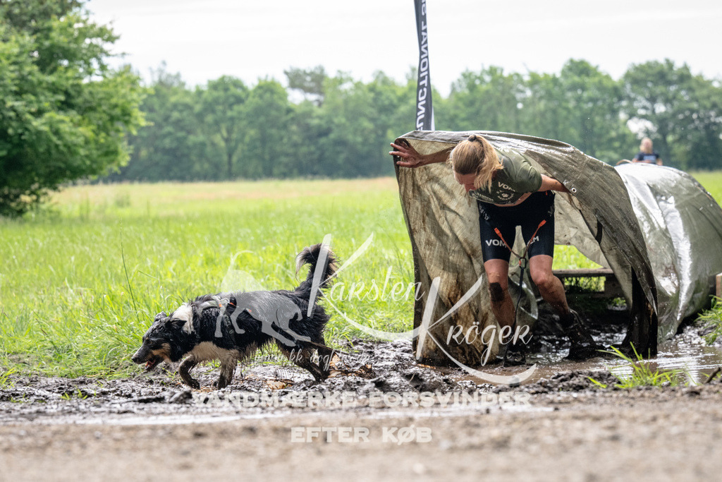 0955_ZZ92277 | kk-dogfotos