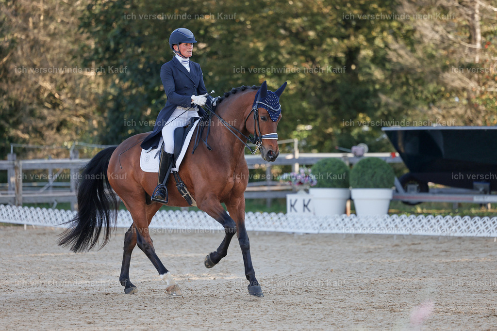 09_1-082-DRESSUR  S_  -StoibPH-5468 | working equitationturnier fotograf videograf stoibphotography marixx film working equitation deutschland reitsport turnierfotografie eventfotografie equestrian events