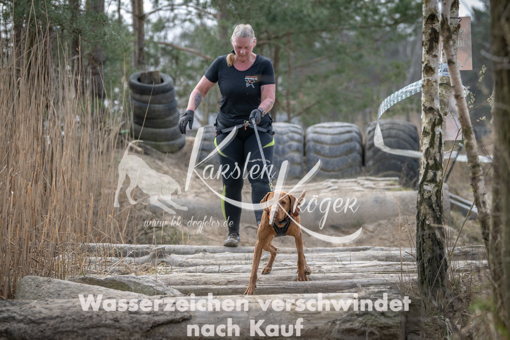 1114DSC_8338 | kk-dogfotos