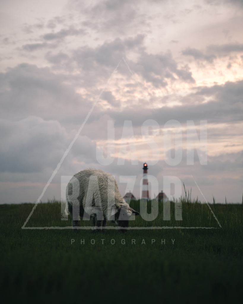 DSCF0895 | jasonraizor - Realisiert mit Pictrs.com