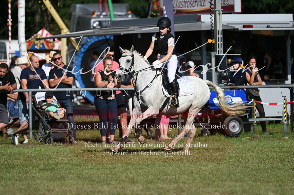 DSC_5270 | Pferde- und Turnierfotografie in Westsachsen. Pferdeportraits, Auftragszeichnungen und intuitive Kunst.