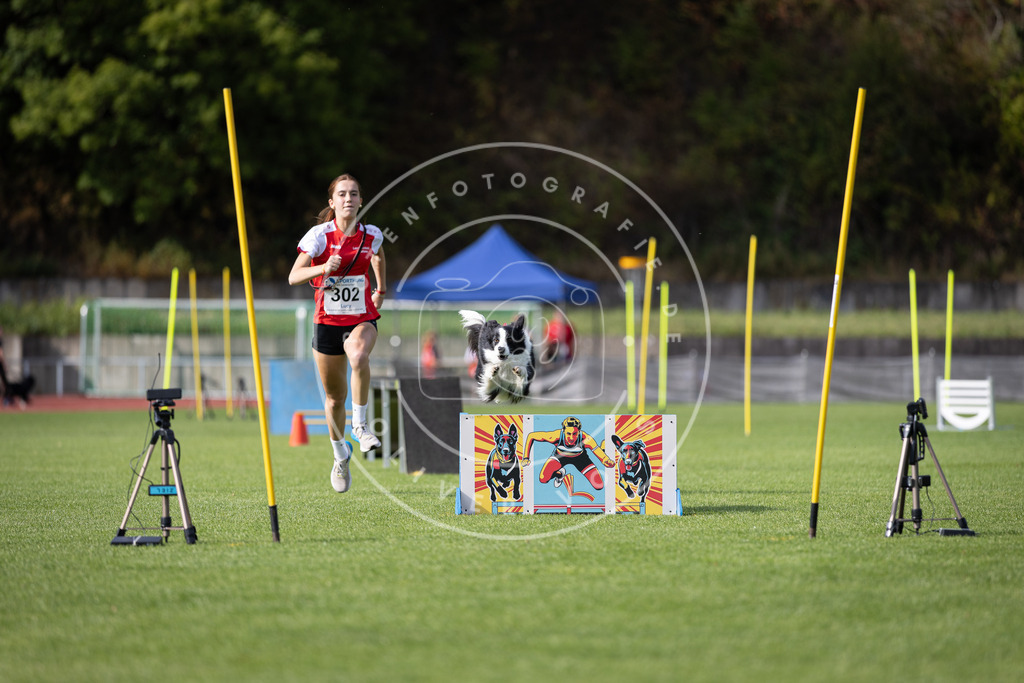Pfotenfotografie_DV3A1202 | Hundefotografie, Tierfotograf, Pfotenfotografie, Fotoshooting Hund, Hunde Portrait, Hundesport, Hundeportraits, Heideshooting, Hunde, Sportfotograf, Hundefotograf, Turnierhundsport, THS,  - Realisiert mit Pictrs.com