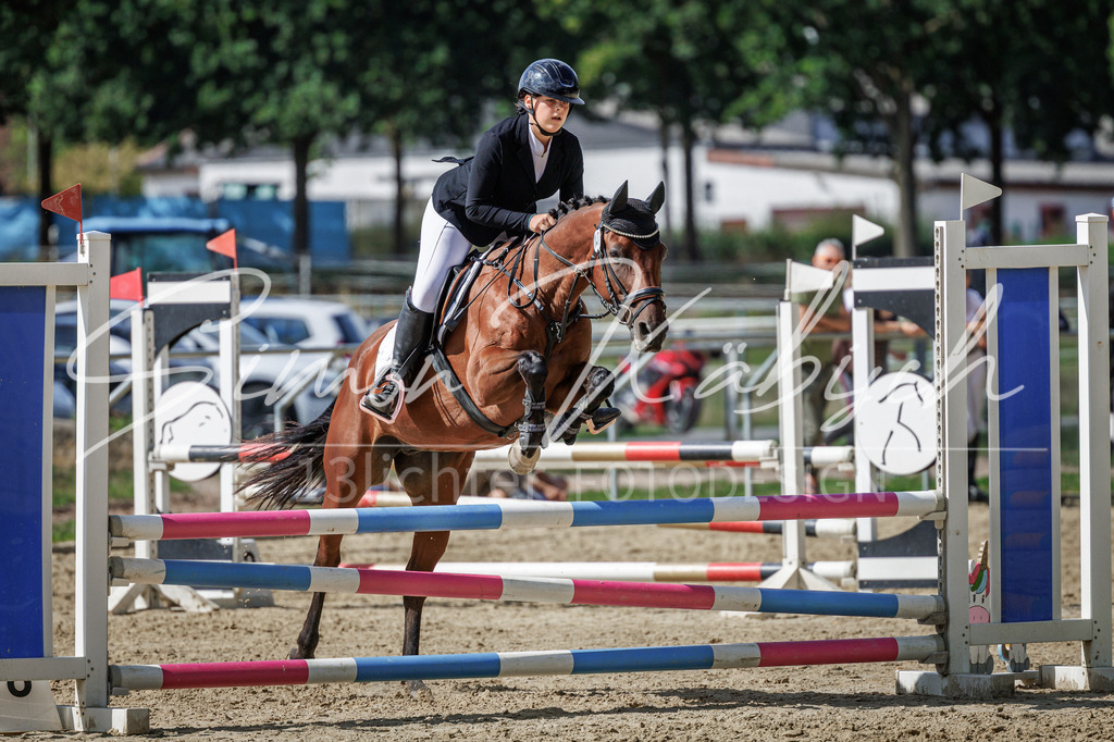 20260905-_3LI9191 | Tierfotografie Pferde, Hunde, Katzen, Haustiere.
Turnierfotografie Reitturniere, Reiten, Springreiten, Dressur in Hanau, dem Main-Kinzig-Kreis und dem Rhein-Main- Gebiet um Frankfurt