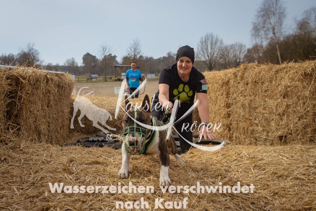 1134_ZZ94492 | kk-dogfotos