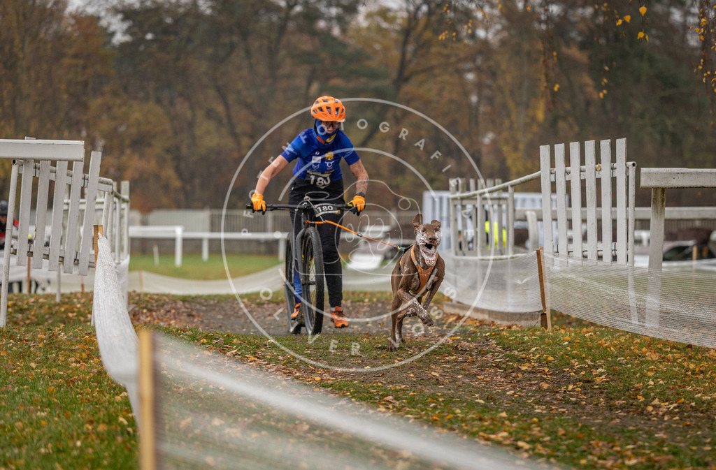 CaniXpix_DV3A8349 | Hundefotografie, Tierfotograf, Pfotenfotografie, Fotoshooting Hund, Hunde Portrait, Hundesport, Hundeportraits, Heideshooting, Hunde, Sportfotograf, Hundefotograf, Turnierhundsport, THS,  - Realisiert mit Pictrs.com
