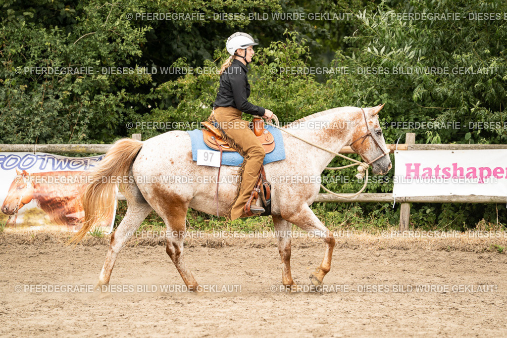 DSC01041 | Pferdegrafie