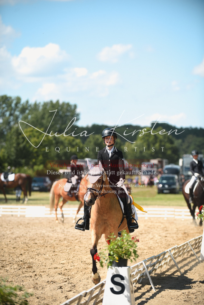 DSC_2582 | Pferde- und Turnierfotografie in Westsachsen. Pferdeportraits, Auftragszeichnungen und intuitive Kunst.