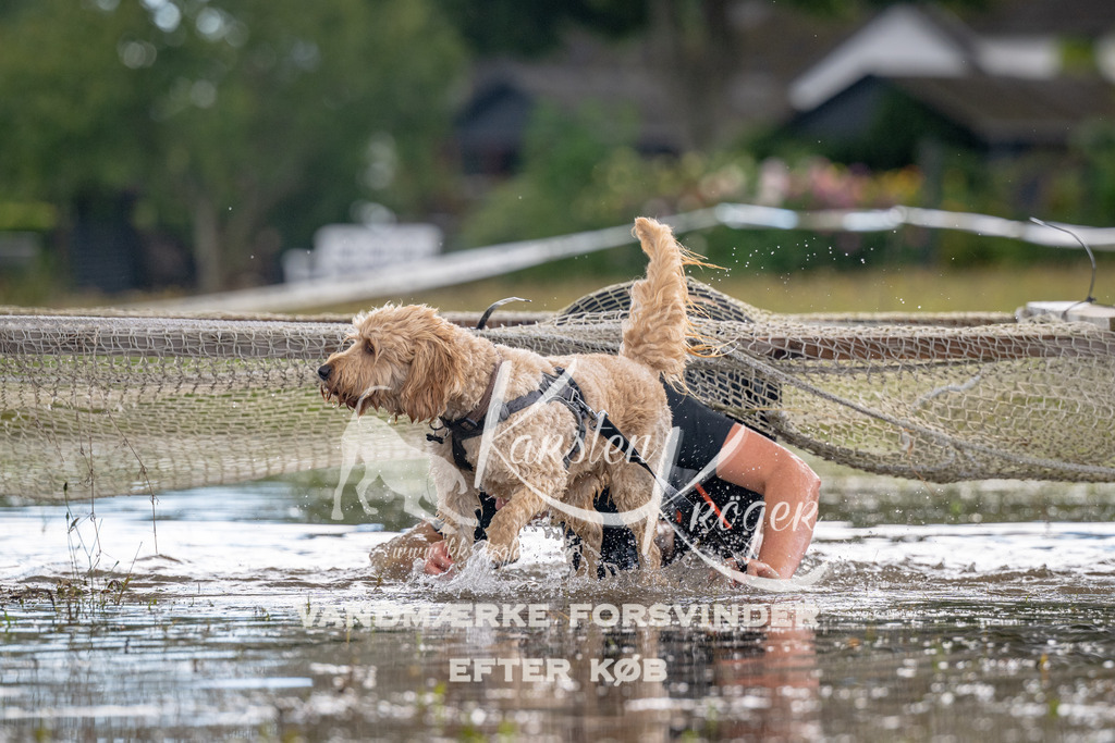 1352_ZZ90251 | kk-dogfotos