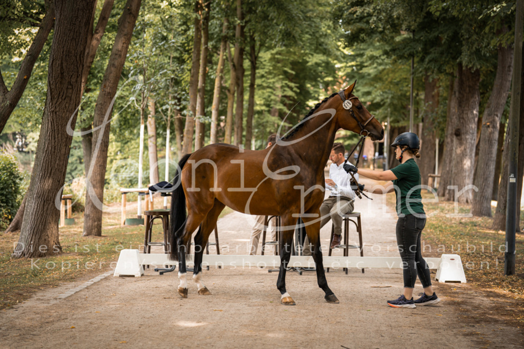 FrPfM00018 | Leoni Ertmer Photography - Realisiert mit Pictrs.com