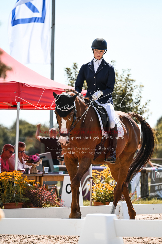 DSC_5530 | Pferde- und Turnierfotografie in Westsachsen. Pferdeportraits, Auftragszeichnungen und intuitive Kunst.