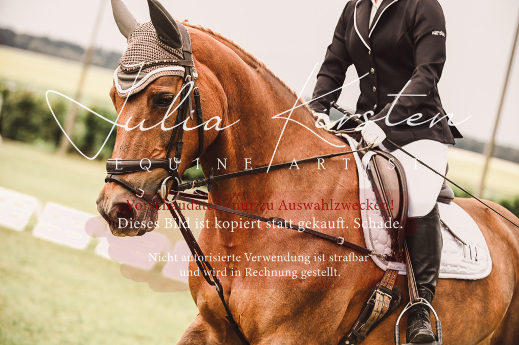 DSC_4859 | Pferde- und Turnierfotografie in Westsachsen. Pferdeportraits, Auftragszeichnungen und intuitive Kunst.