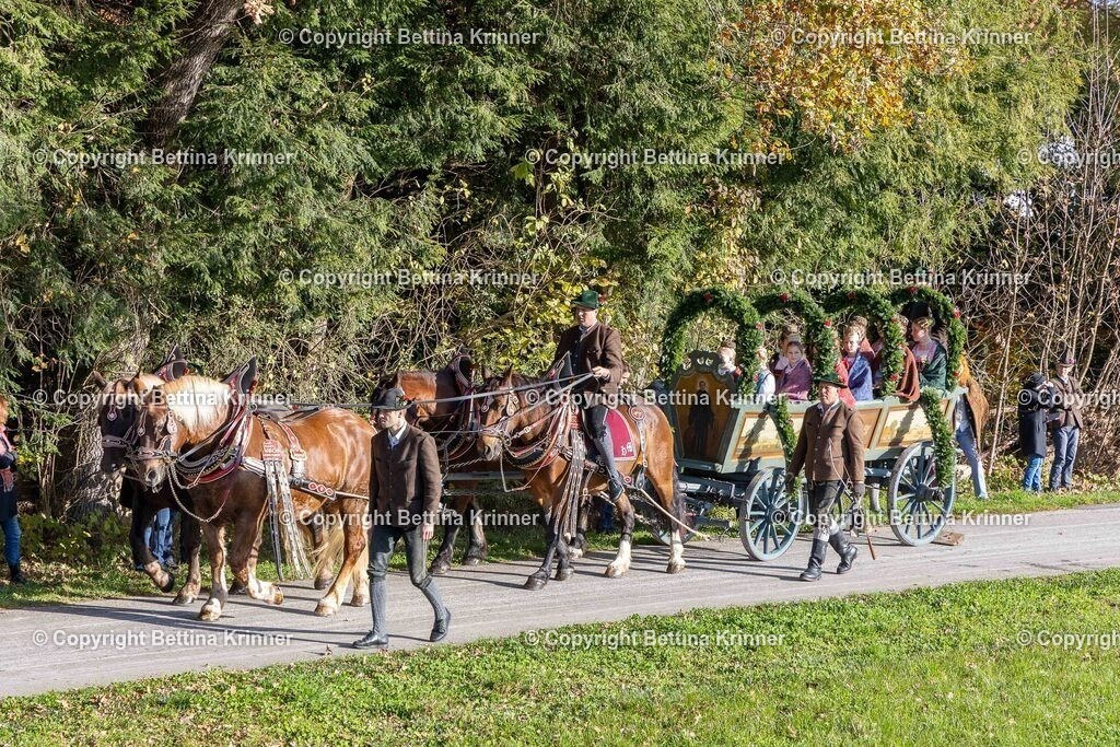 LBT24-196 | foto-bettina-krinner - Realisiert mit Pictrs.com