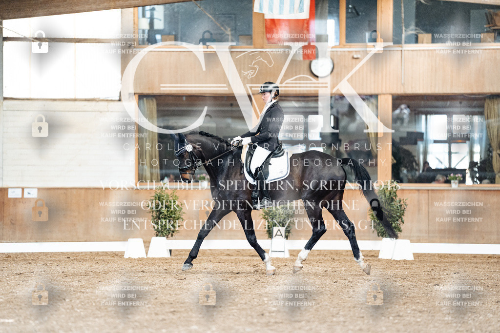 CK901164 | Turnierfotografie Pferdefotografie Trier Rheinland-Pfalz Pferdesport Reitsport Tierfotografie Sportfotografie Pferdevideo Pferdevideografie Equestrianvideography equestrianphotography  - Realisiert mit Pictrs.com