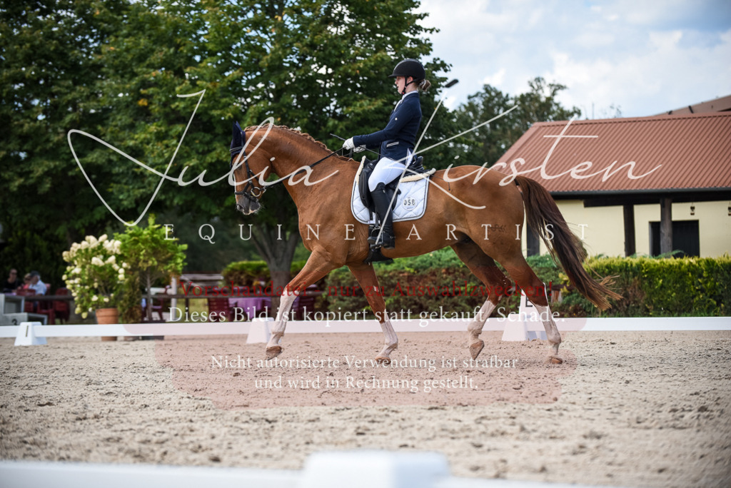 DSC_9369 | Pferde- und Turnierfotografie in Westsachsen. Pferdeportraits, Auftragszeichnungen und intuitive Kunst.