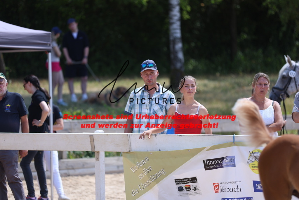 Fohlenschau_Schwäbisch_Hall_springbetonte_Fohlen_KN 54_16 | lmwpictures - Realisiert mit Pictrs.com