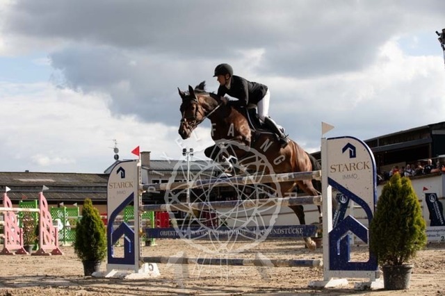 2B4A3716 | pixelfaenger - Realisiert mit Pictrs.com