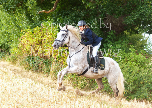 Jagd Knoop 26_MarinaHewigMCH02568 | Fotografie, FotoArt, PferdesportArt, Pferdesportfotografie, Landschaftsfotografie, Reisefotografie, Reise, Pferde - Realisiert mit Pictrs.com