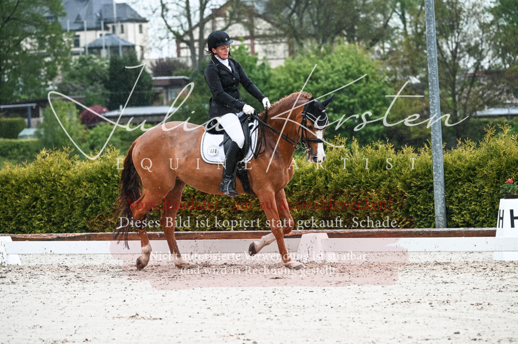 DSC_4467 | Pferde- und Turnierfotografie in Westsachsen. Pferdeportraits, Auftragszeichnungen und intuitive Kunst.