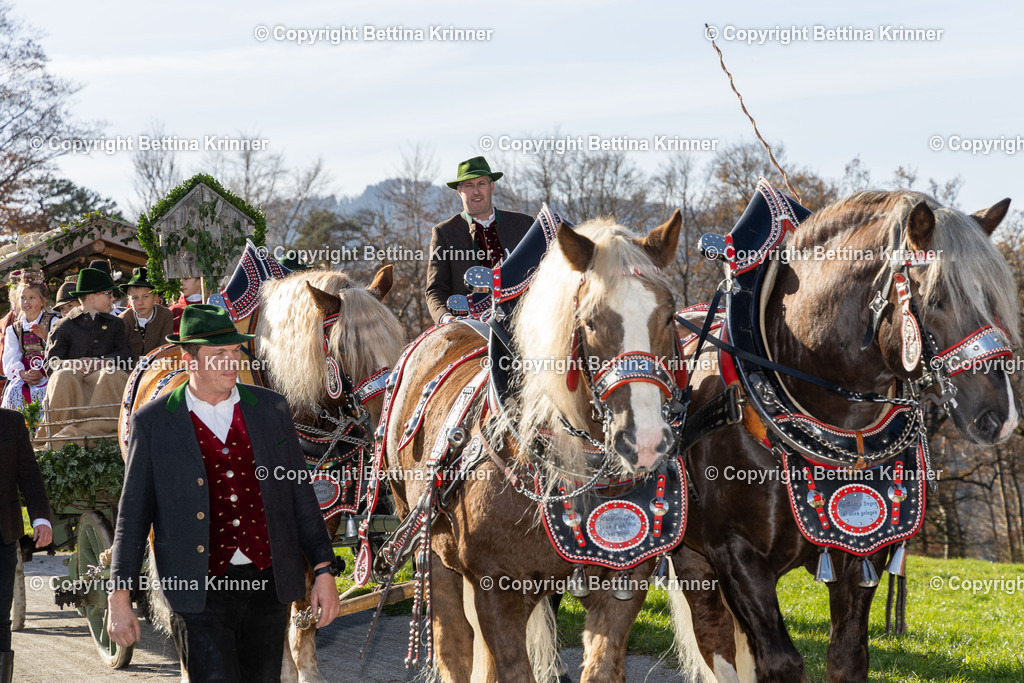 LBT24-1265 | foto-bettina-krinner - Realisiert mit Pictrs.com