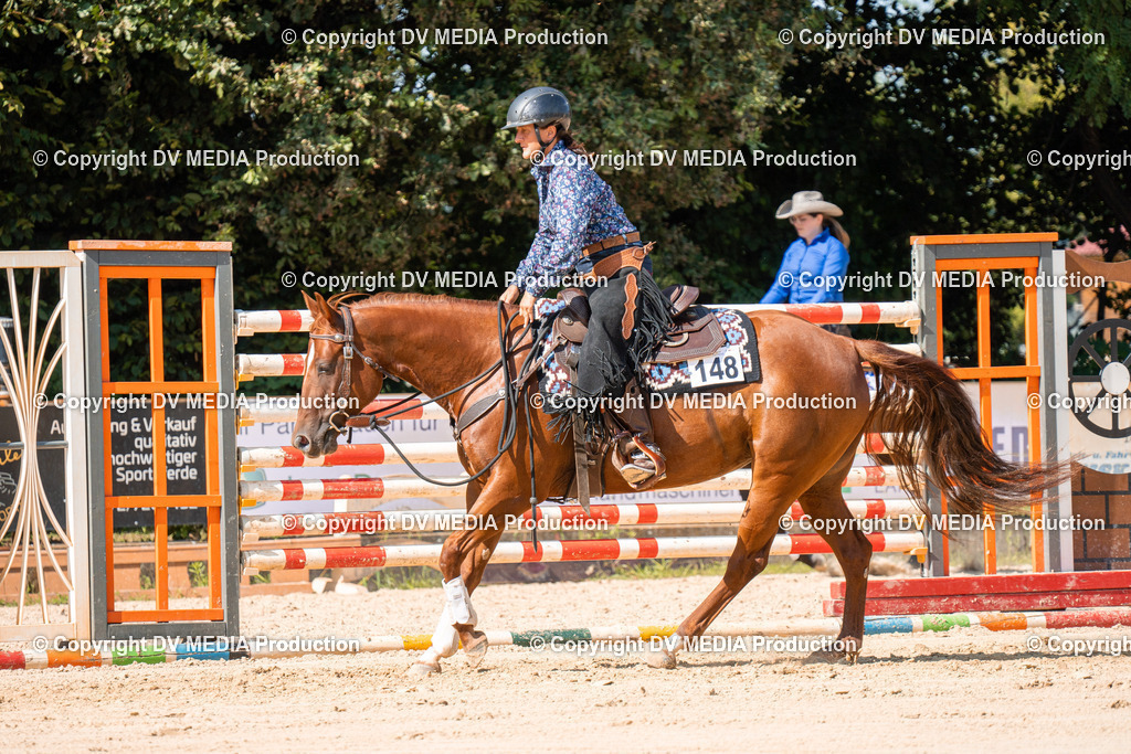 ZH100266 | dv-media-shop - Realisiert mit Pictrs.com