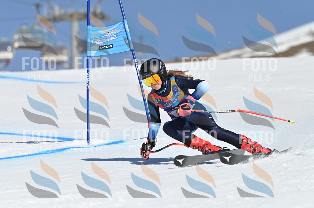 BGV_7957 | holidayphoto