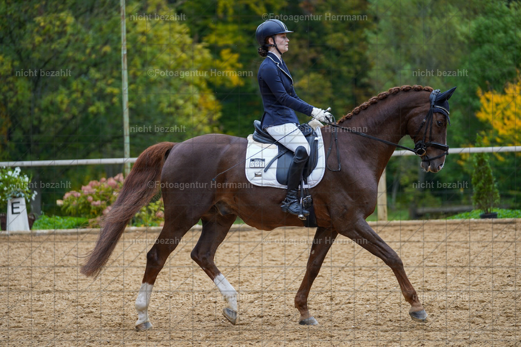 20221008-FAH01806 | Diessen am Ammersee, 2022, Dressur- und Springturnier, Reitsportbilder, Turnierfotografen Bayern, Pferdefotografen, Fotoagentur Herrmann, Turnierbilder
