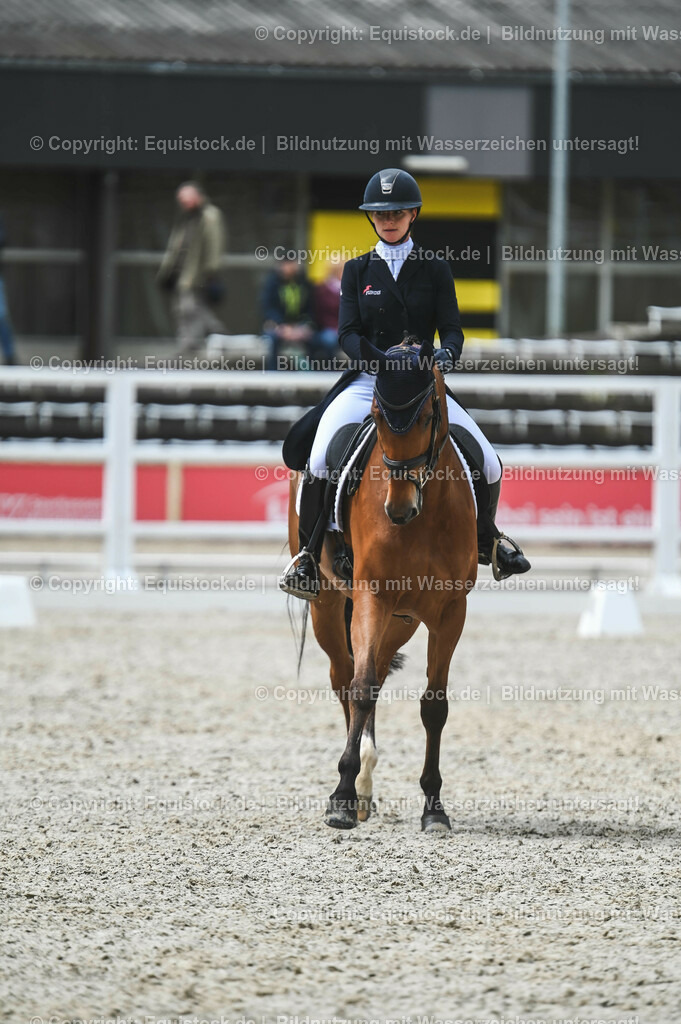 20230512_CCI4_Dressur_0244 | equistock