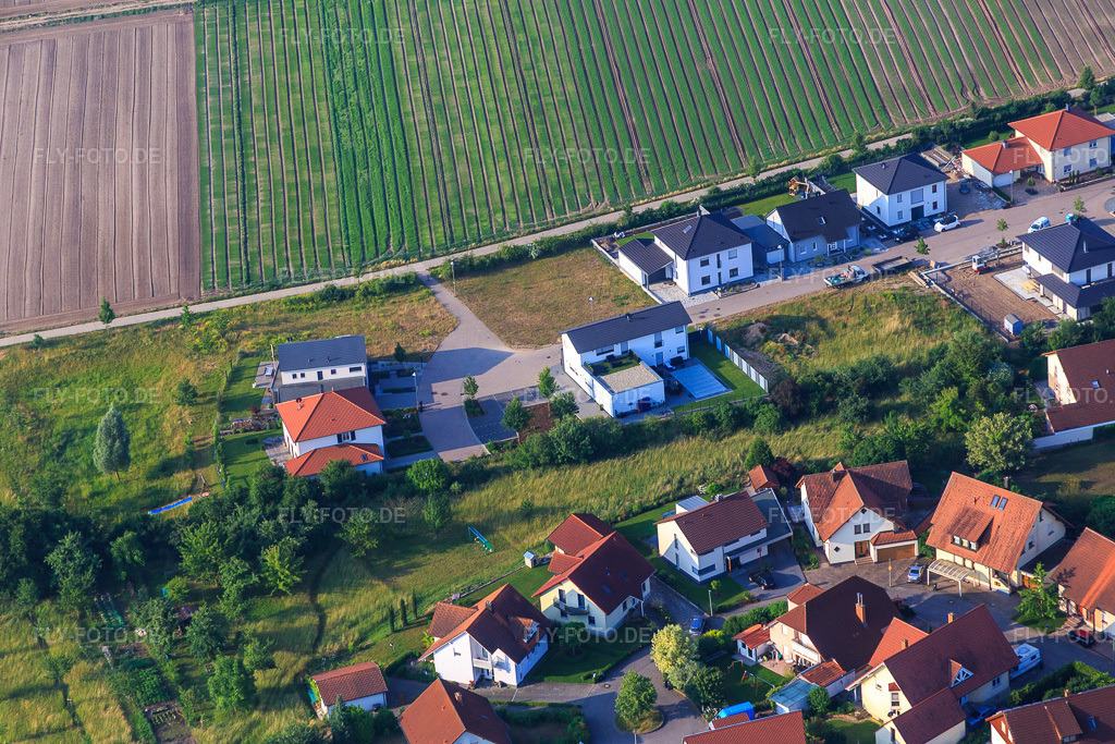 Luftbild: Im Pfarrgarten in Zeiskam im Bundesland Rheinland-Pfalz in Deutschland. Foto: IMG_080612.jpg vom 12.06.2015 durch Werner Riehm/FLY-FOTO.de