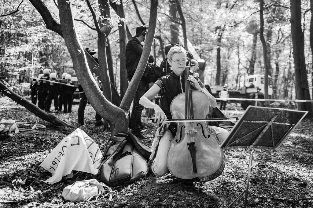 20180917_BL50187 | Hambi, Hambacher Forst 2018 - Realisiert mit Pictrs.com