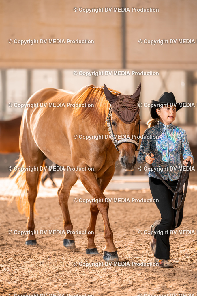 LM Heiligenwald Tag 1-38 | dv-media-shop - Realisiert mit Pictrs.com