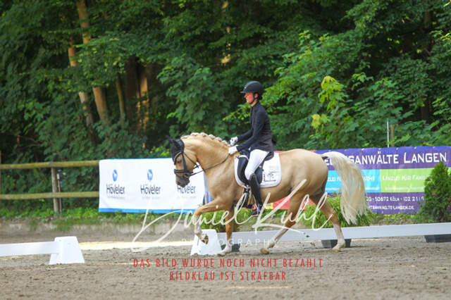 DKP42485 | Turniersportfotografie; Pferdefotografie; Dressurfotografie