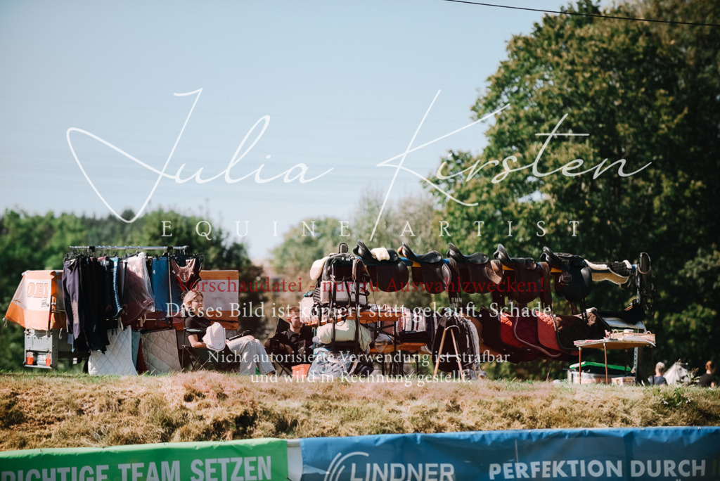 DSC_2917 | Pferde- und Turnierfotografie in Westsachsen. Pferdeportraits, Auftragszeichnungen und intuitive Kunst.
