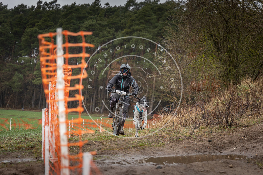 0L8A8931 | Hundefotografie, Tierfotograf, Pfotenfotografie, Fotoshooting Hund, Hunde Portrait, Hundesport, Hundeportraits, Heideshooting, Hunde, Sportfotograf, Hundefotograf, Turnierhundsport, THS,  - Realisiert mit Pictrs.com